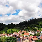 Fleissige Biene * Steinbach (Wartburgkreis)