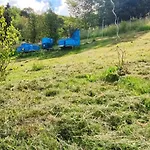 Fleissige Biene