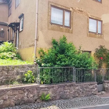 Fleissige Biene Steinbach