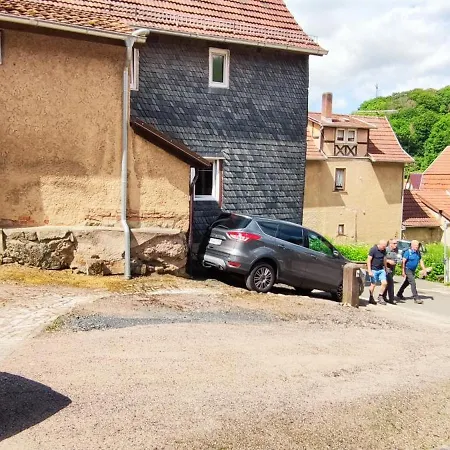 Fleissige Biene Steinbach