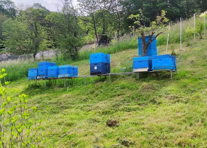 Fleissige Biene * Steinbach