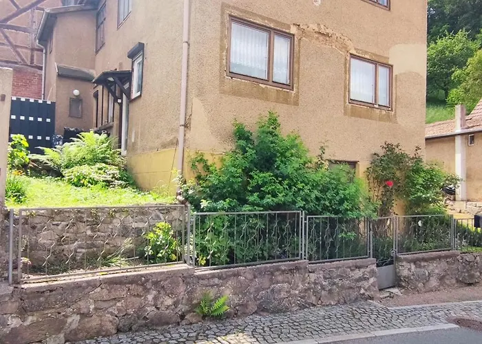 Fleissige Biene Steinbach (Wartburgkreis)