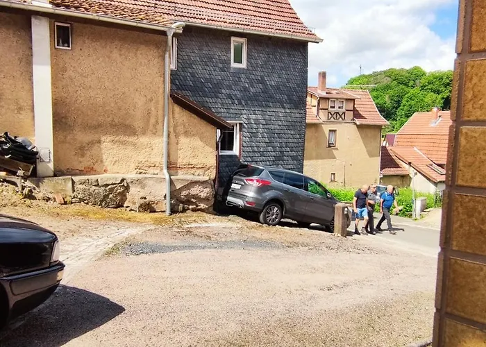 Fleissige Biene Steinbach