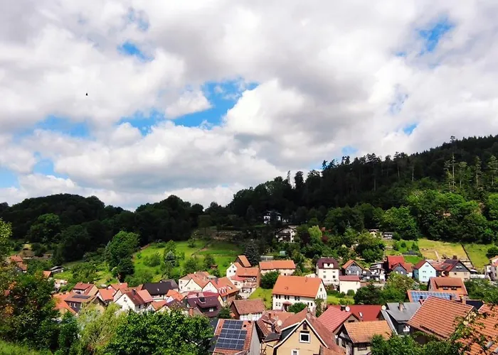 Fleissige Biene * Steinbach